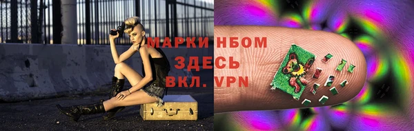 твердый Арсеньев
