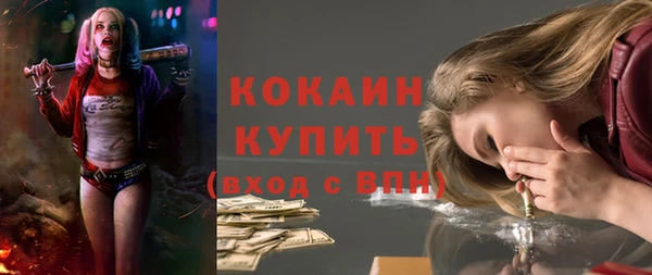 твердый Арсеньев