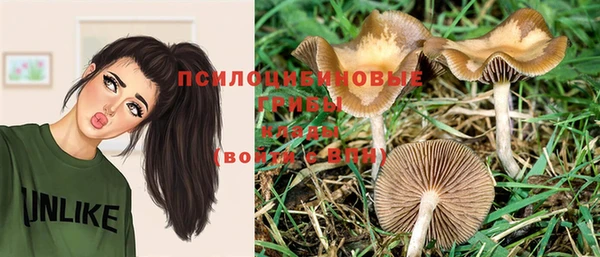 твердый Арсеньев